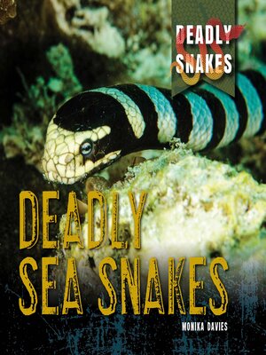 cover image of Deadly Sea Snakes